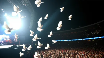 Illustration drops - Image 1