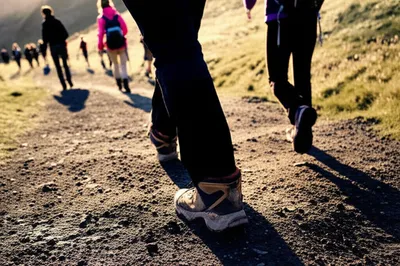 Illustration drags - Image 1