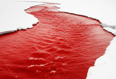 Illustration coursing