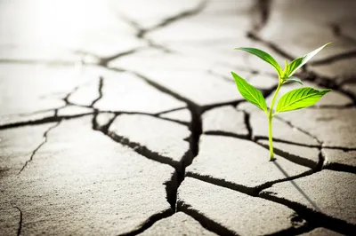 Illustration overtaken - Image 1