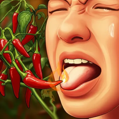 Illustration bit - Image 1