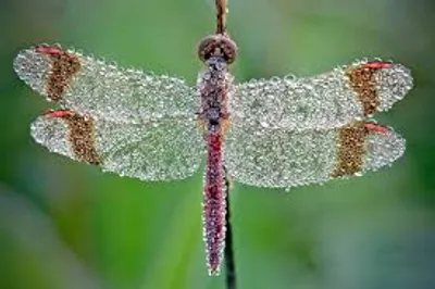 Illustration graphic - Image 3