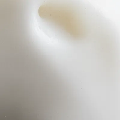 Illustration bone - Image 1