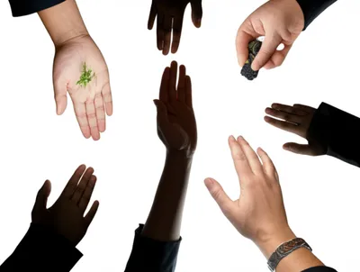 Illustration hands - Image 1