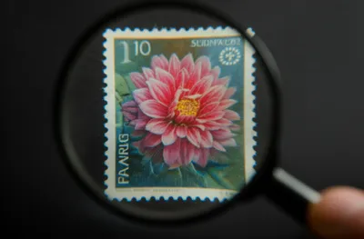 Hình ảnh minh họa vignette - Ảnh 1