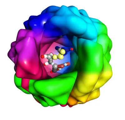 Illustration enzyme - Image 1