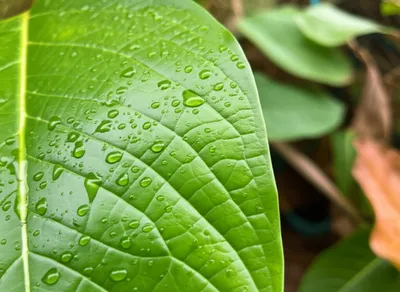 Illustration dampen - Image 1