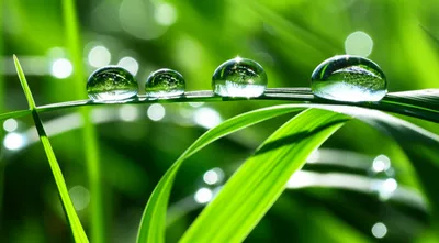 Illustration shining - Image 1