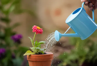 Illustration fo - Image 1