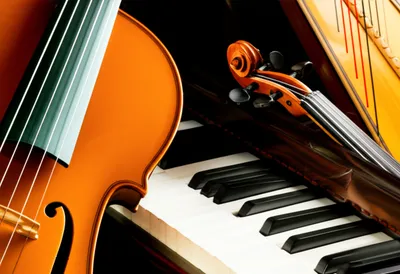 Illustration chordophone