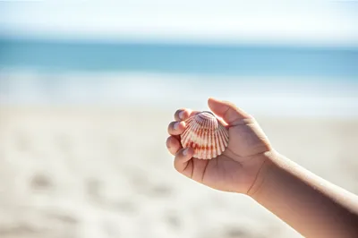 Illustration souvenir