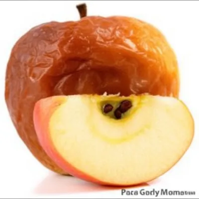 Illustration veneers - Image 1