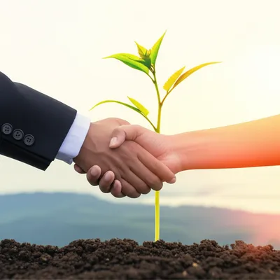 Illustration commitments - Image 1