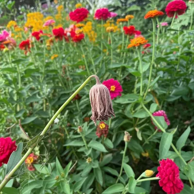 Illustration flagged - Image 1