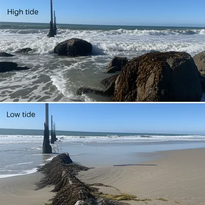 Illustration tidal - Image 1