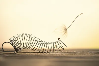 Illustration prospective - Image 1