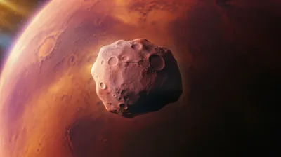 Illustration martial - Image 1