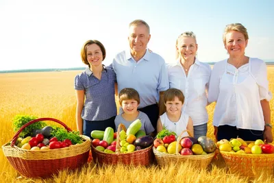 Illustration sufficiency - Image 1