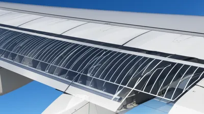 Illustration ribs - Image 1