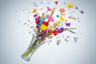 Illustration shatters - Image 1