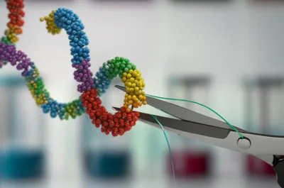 Illustration terminations - Image 1