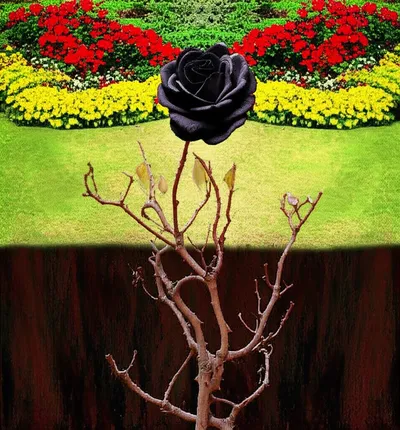 Illustration mortal - Image 1