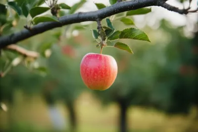 Illustration falling - Image 1