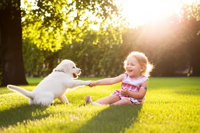 Illustration playmate