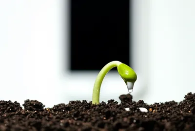 Illustration whit - Image 1