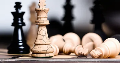 Illustration creams - Image 1