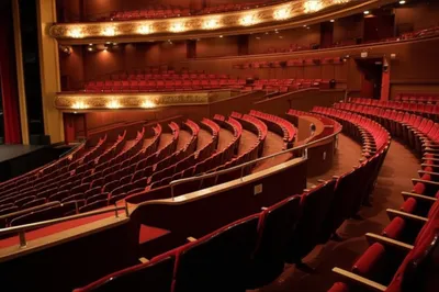 Illustration parterres - Image 1