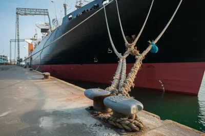 Illustration bridles - Image 1