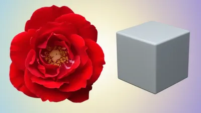 Illustration differentiated