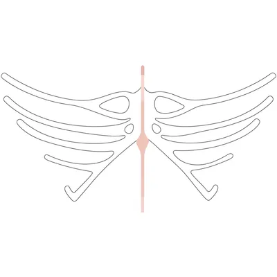 Illustration radial - Image 1