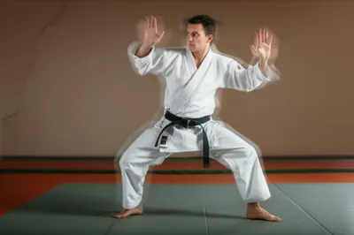 Illustration parry - Image 1