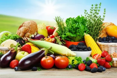 Illustration simples - Image 1