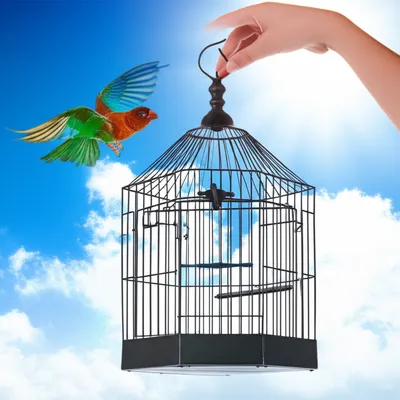 Illustration waive - Image 1