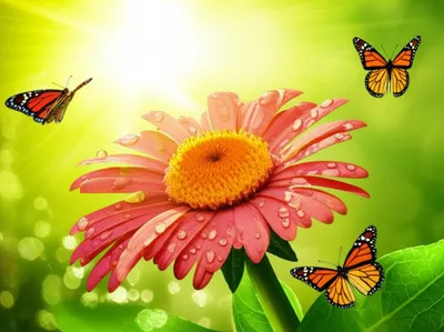 Illustration breathes - Image 1