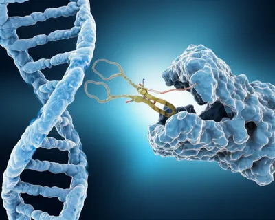 Hình ảnh minh họa coded - Ảnh 1