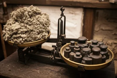 Illustration tods - Image 1