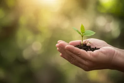 Illustration tendered - Image 1