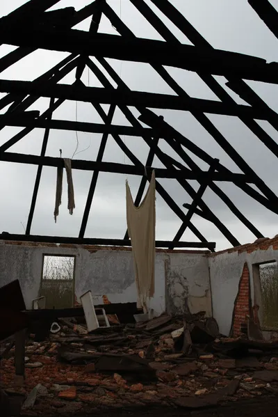 Illustration gutted - Image 1