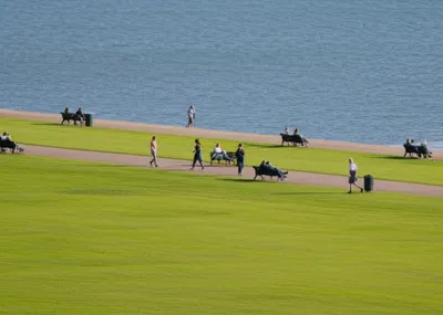 Illustration esplanade - Image 1