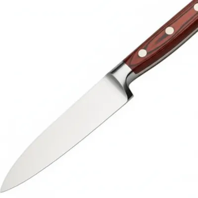 Illustration tang - Image 1