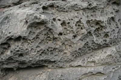 Illustration rag - Image 1