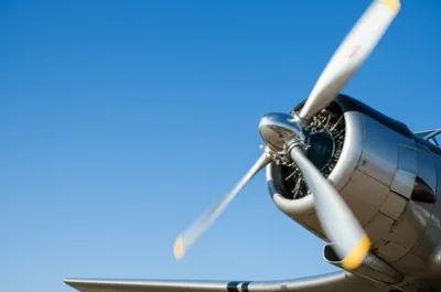 Illustration props - Image 1