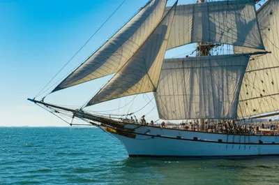 Illustration skins - Image 1