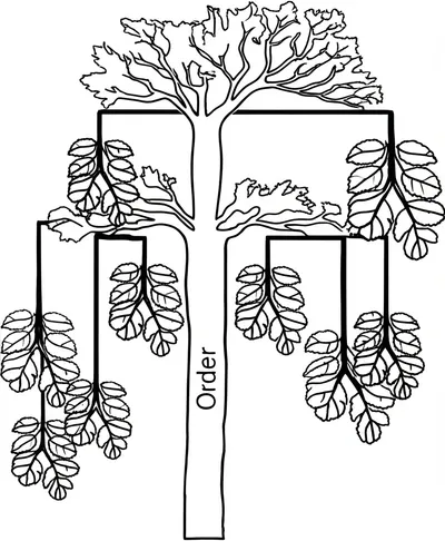 Illustration section - Image 1