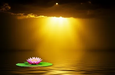 Illustration revelation - Image 1