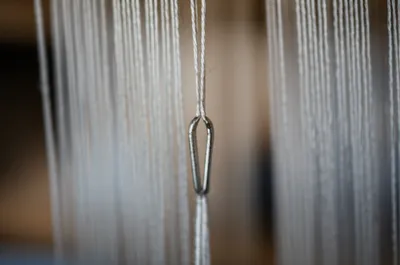 Illustration lea - Image 1